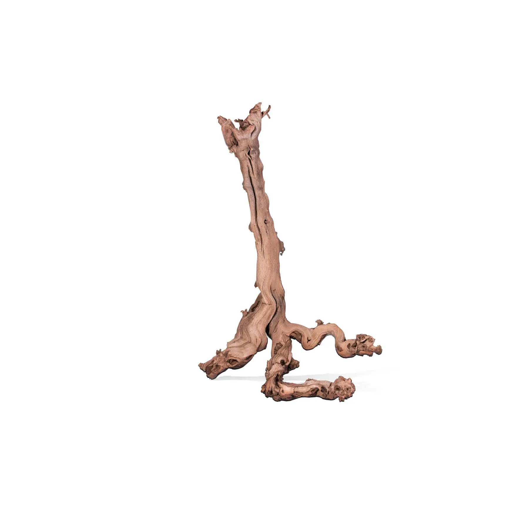 Comparer les prix de Décoration d’aquarium racine mopavigne Aquavie