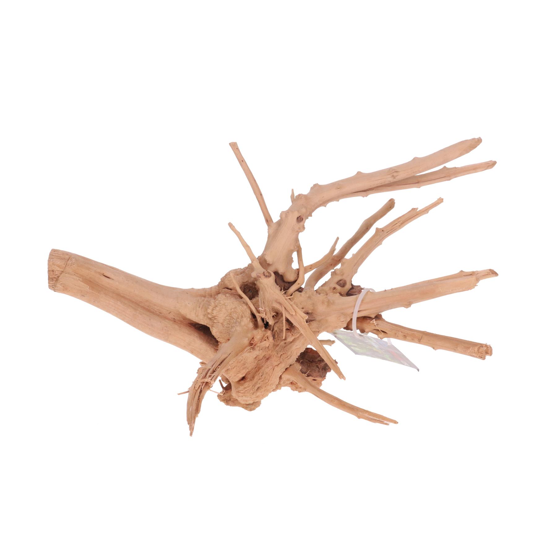 Meilleurs prix pour Décoration d’aquarium vigne rare slim Aquavie