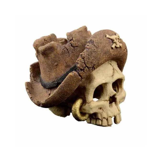 Comparer les prix de Décoration pour aquarium Aquavie Bat Tete Pirate 1