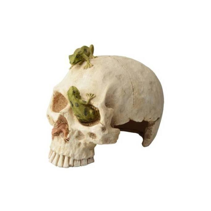 Comparer les prix de Décoration pour aquarium Aquavie Terra Crane Fun