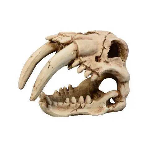 Comparer les prix de Décoration d’aquarium Aquavie R Terra Ratich