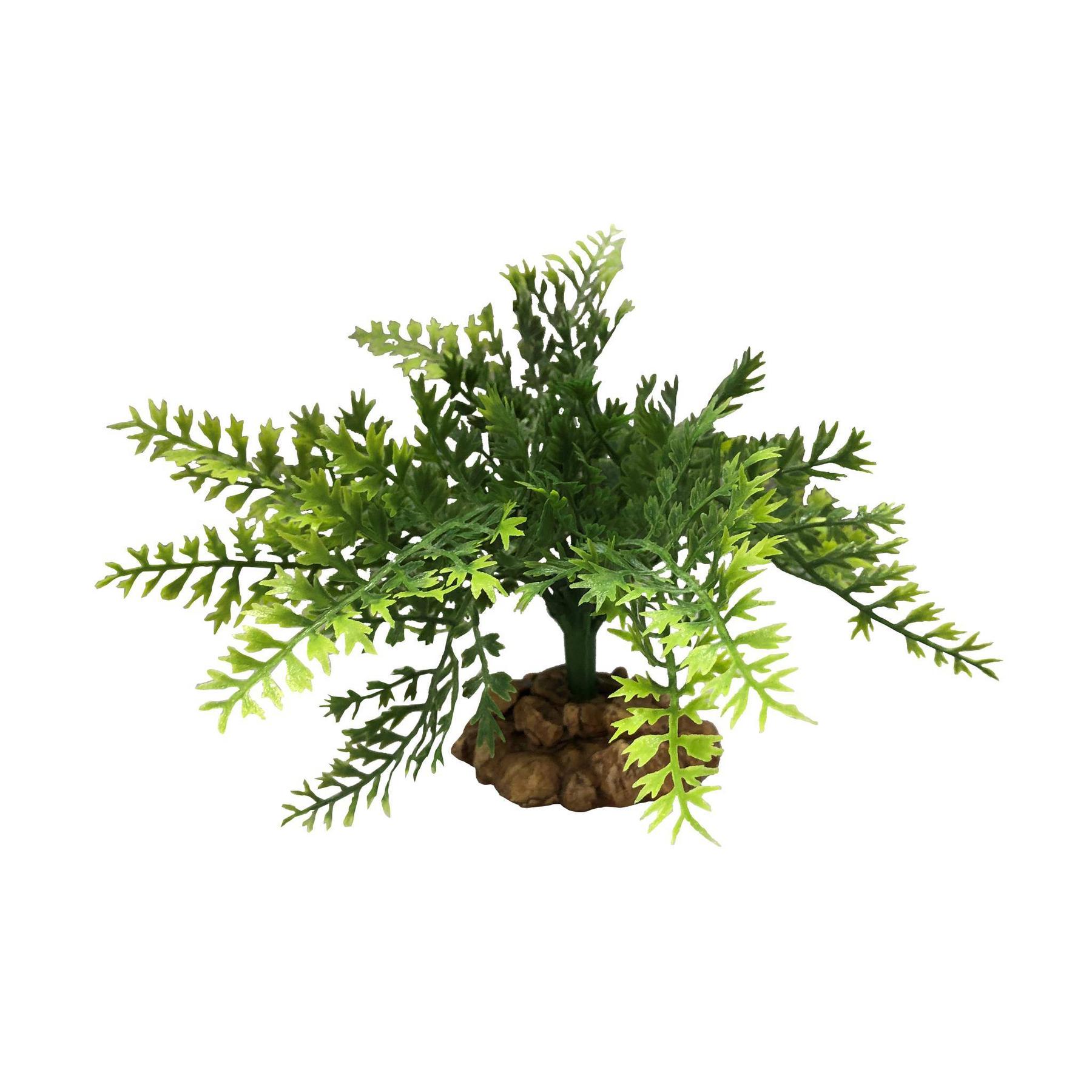 Comparer les prix de Décoration d’aquarium Aquavie R Terra Plantation Feuillage Base Fougi