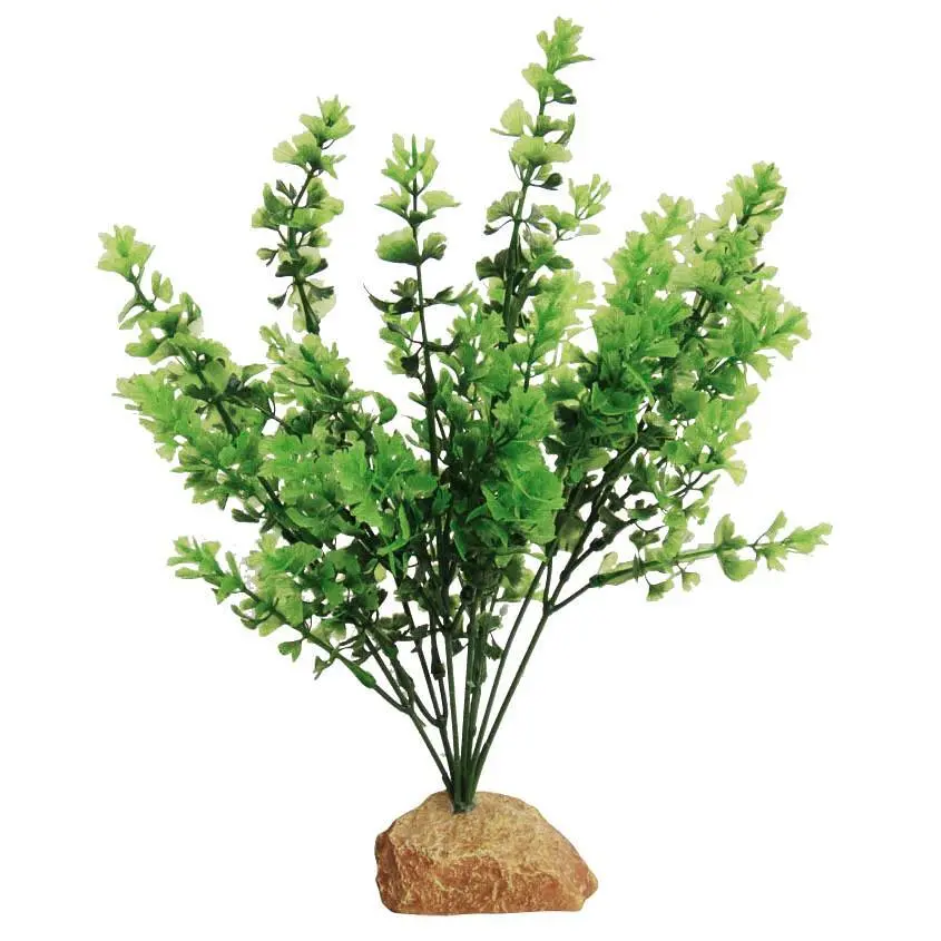 Meilleurs prix pour Décoration d’aquarium Aquavie R Terra Plantation Feuillage 30