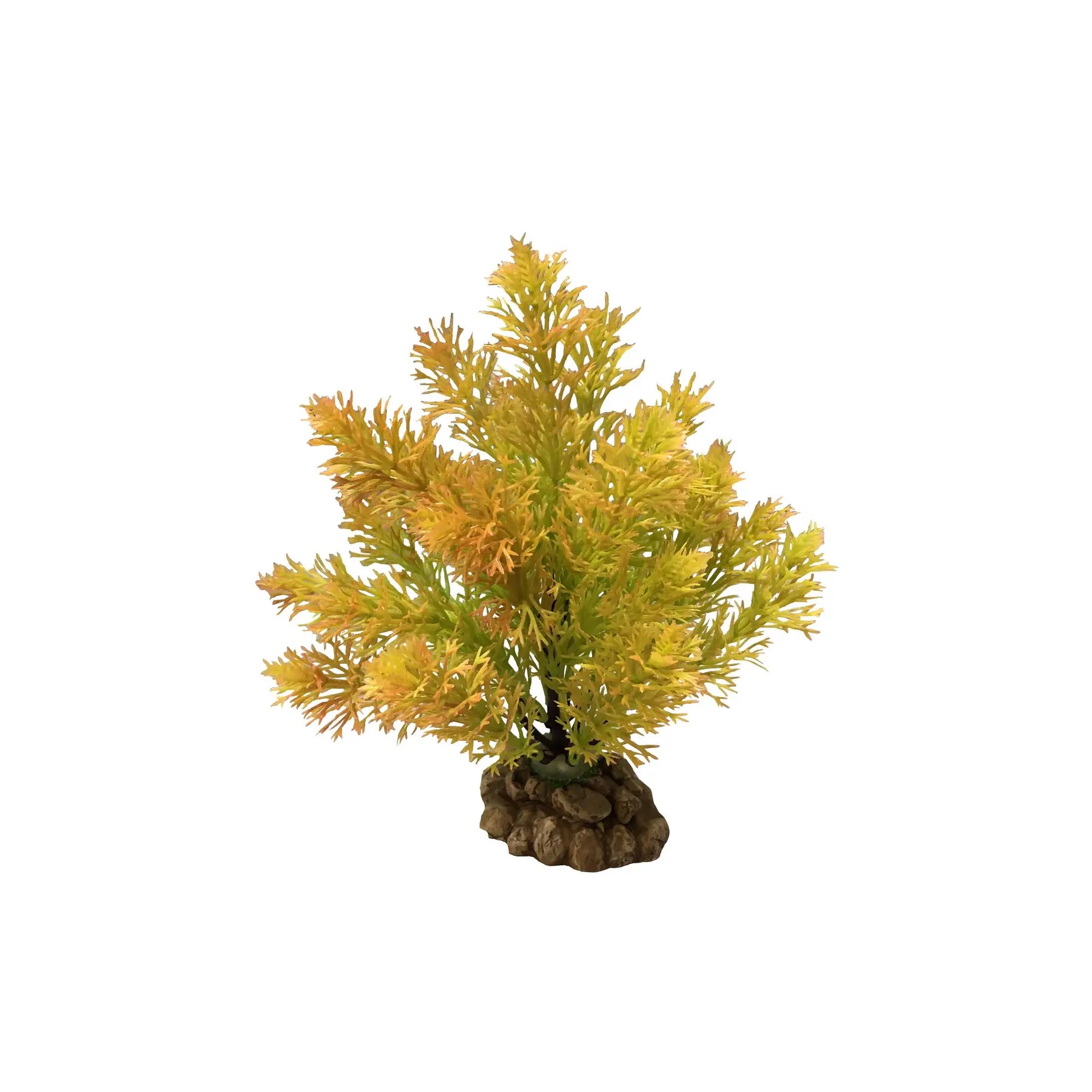 Comparer les prix de Décoration d’aquarium Aquavie R Terra Plantation Large Automne 23
