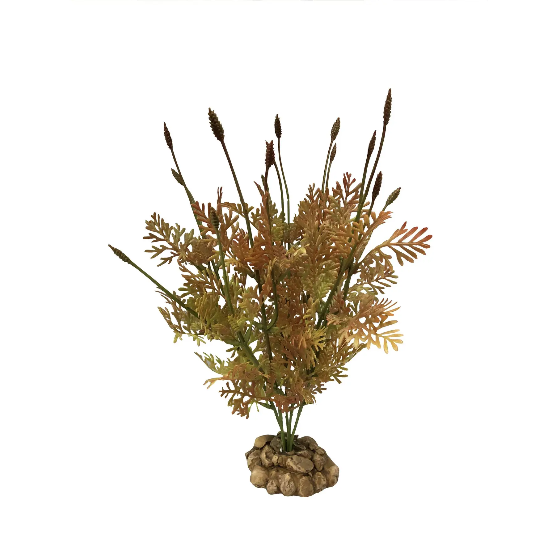 Meilleurs prix pour Décoration d’aquarium Aquavie R Terra Plantation Pine 31