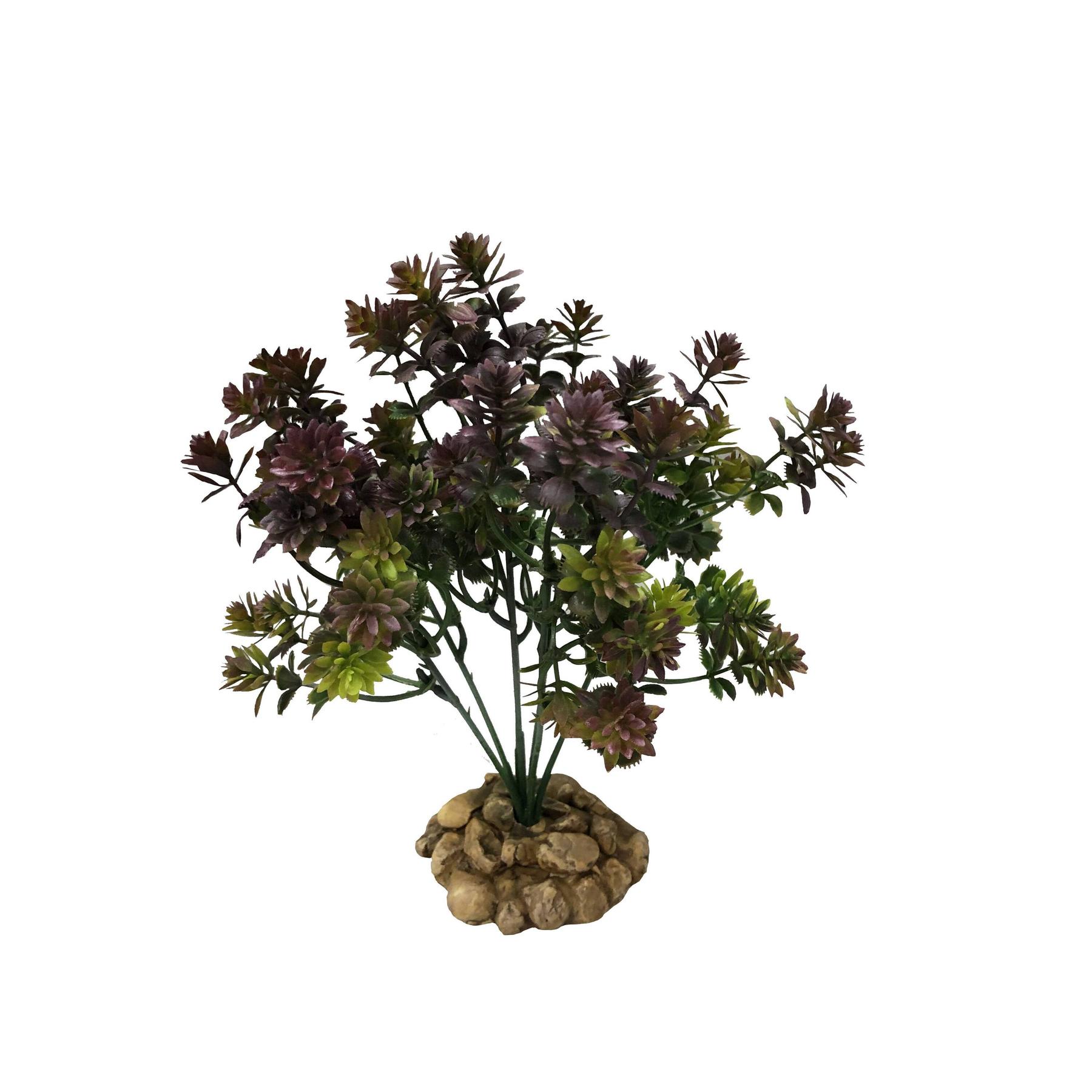 Comparer les prix de Décoration d’aquarium Aquavie R Terra Plantation Violette 22