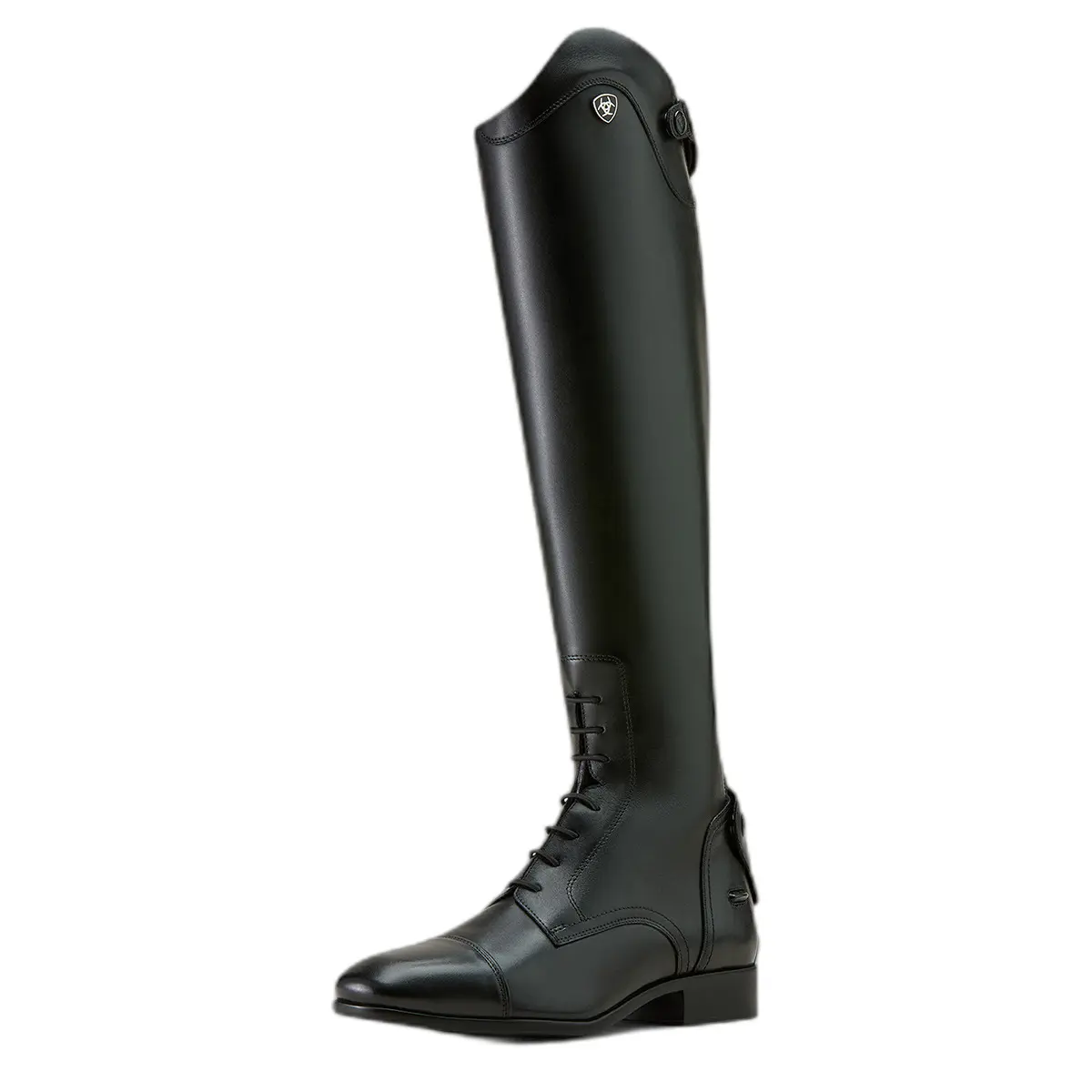 Comparer les prix de Bottes d'équitation Ariat Palisade