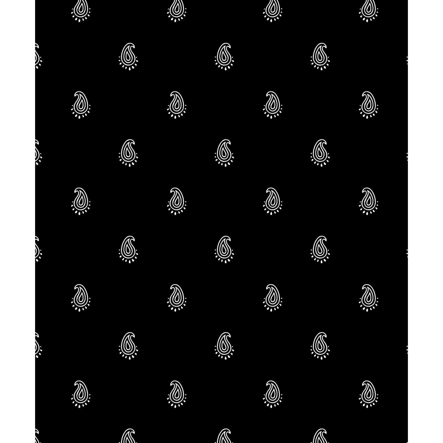 0197318830082 - Hemd Ariat Truth