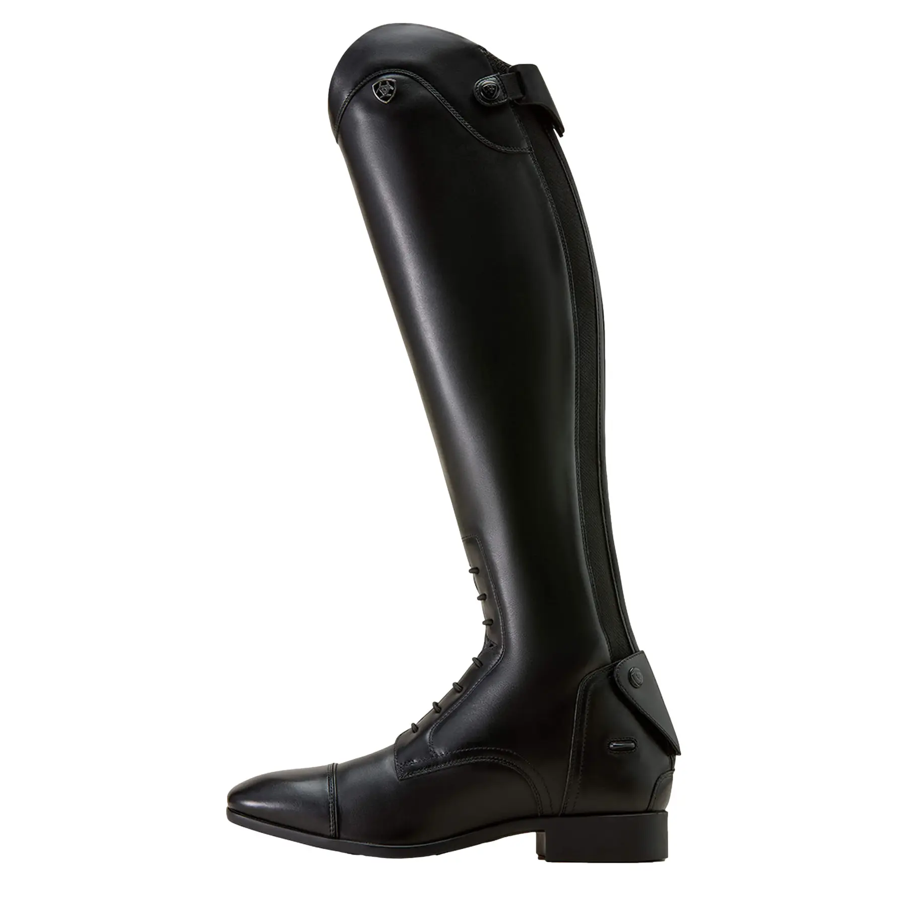 Reitstiefel Ariat Palisade Field