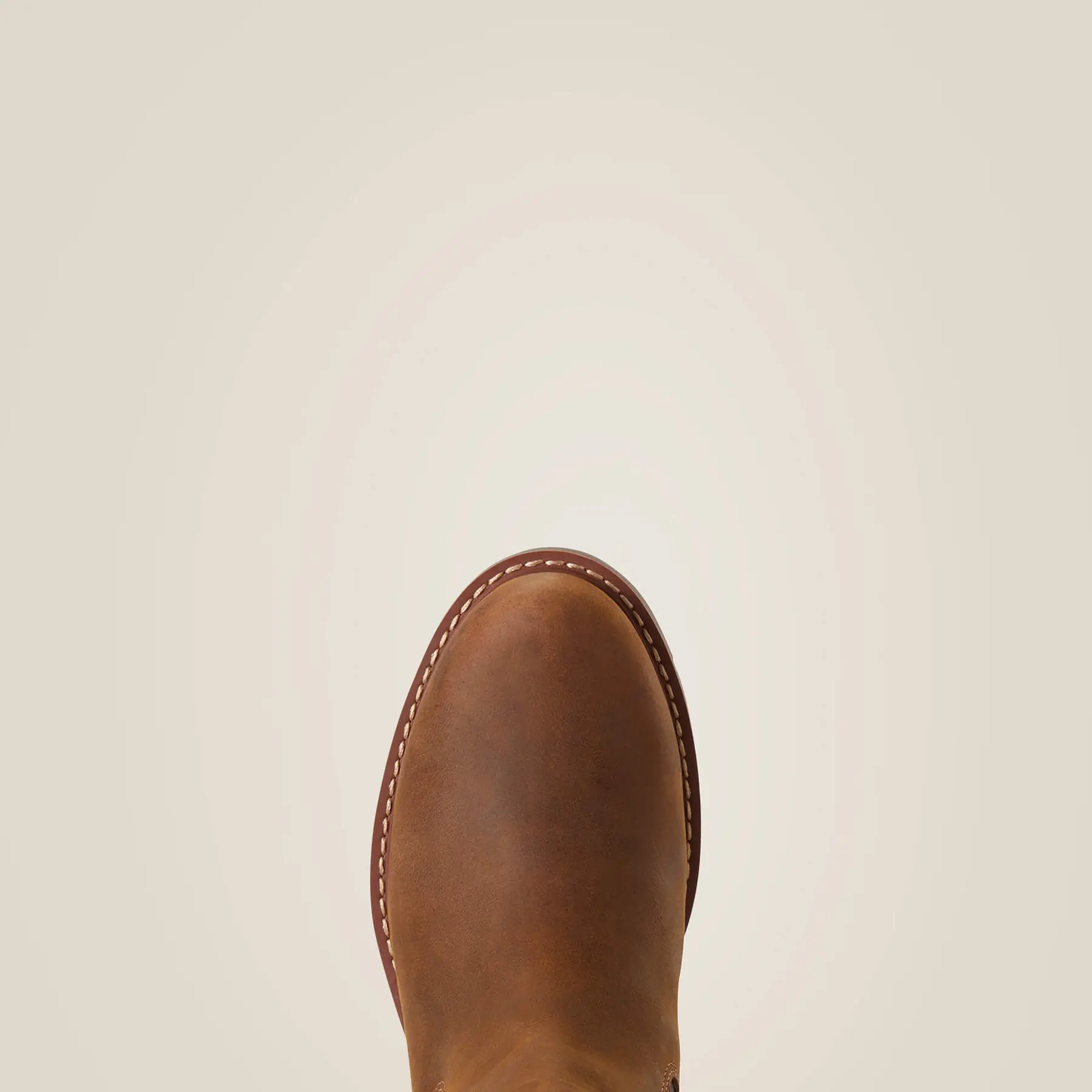 product/a/r/ariat_10033941_2.jpg