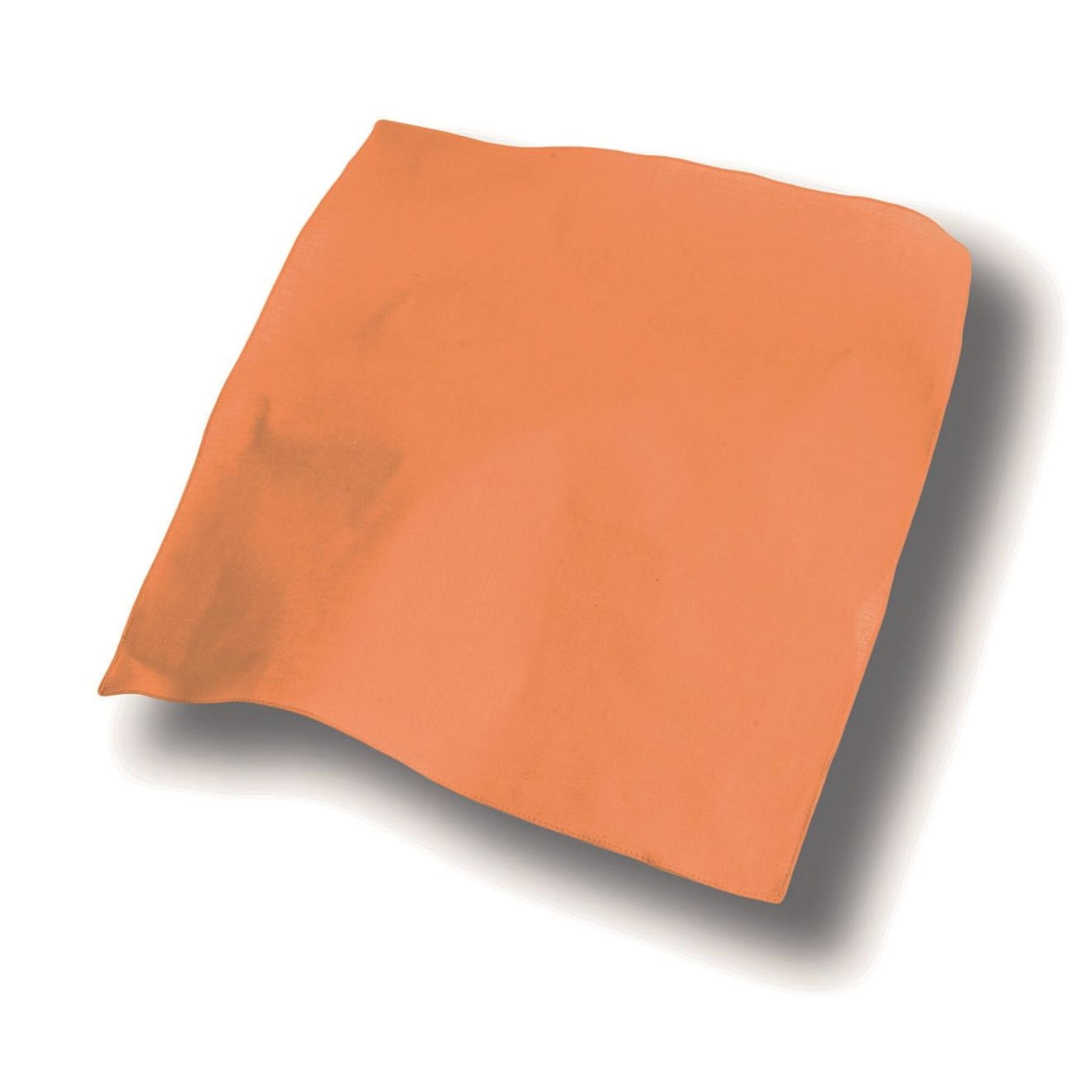 8028661133280 - Bandana Goal