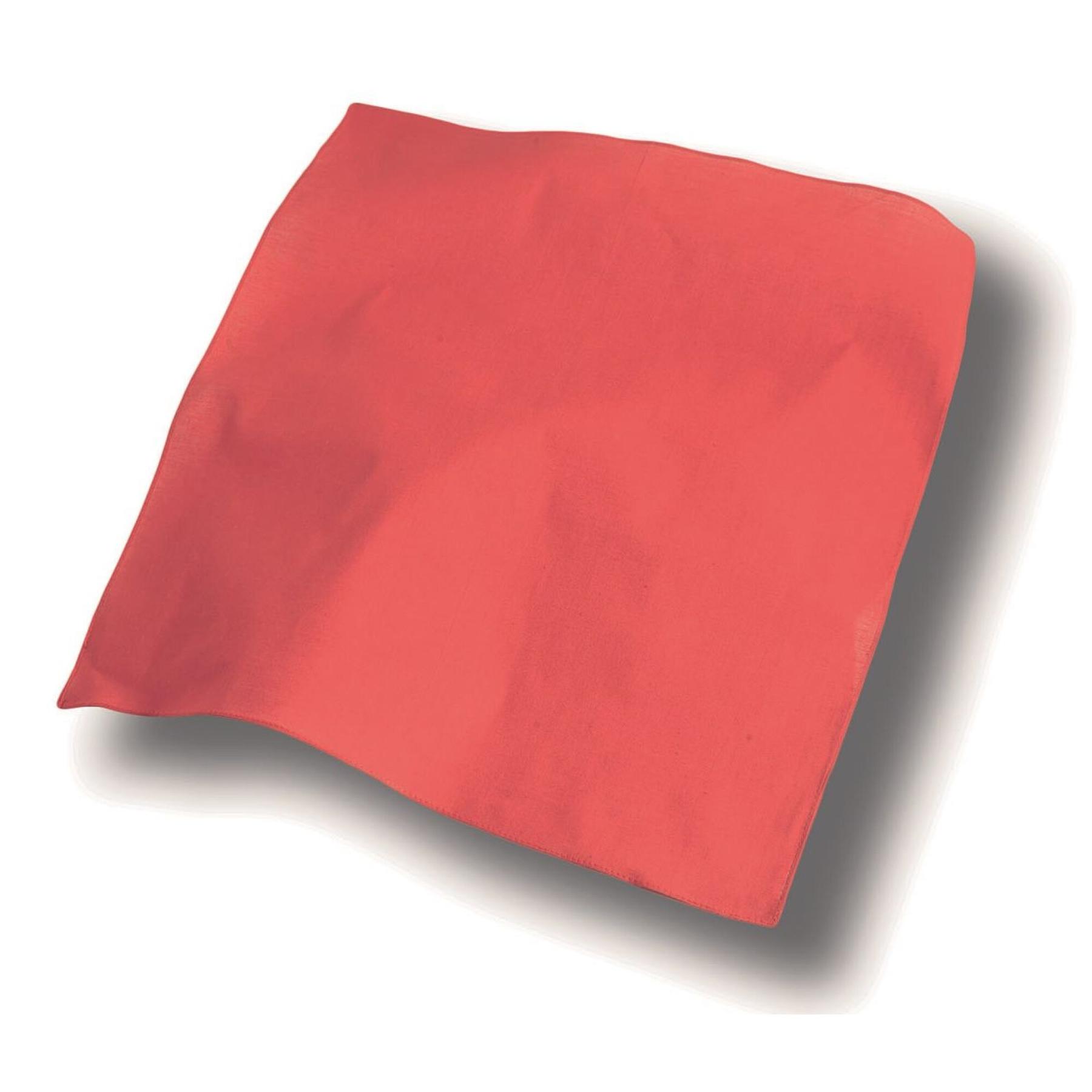 8028661133341 - Bandana Goal