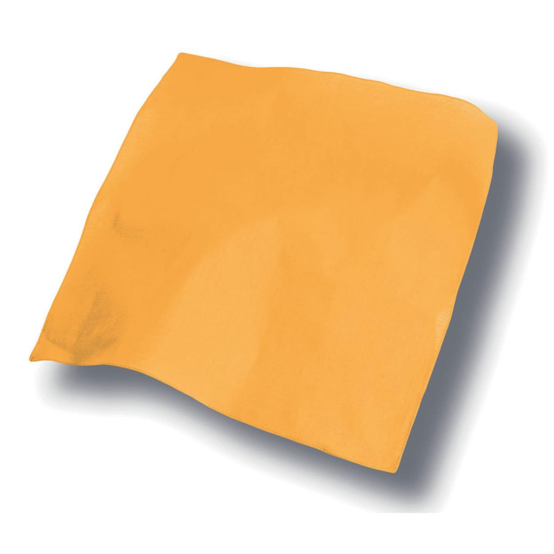 8028661133310 - Bandana Goal