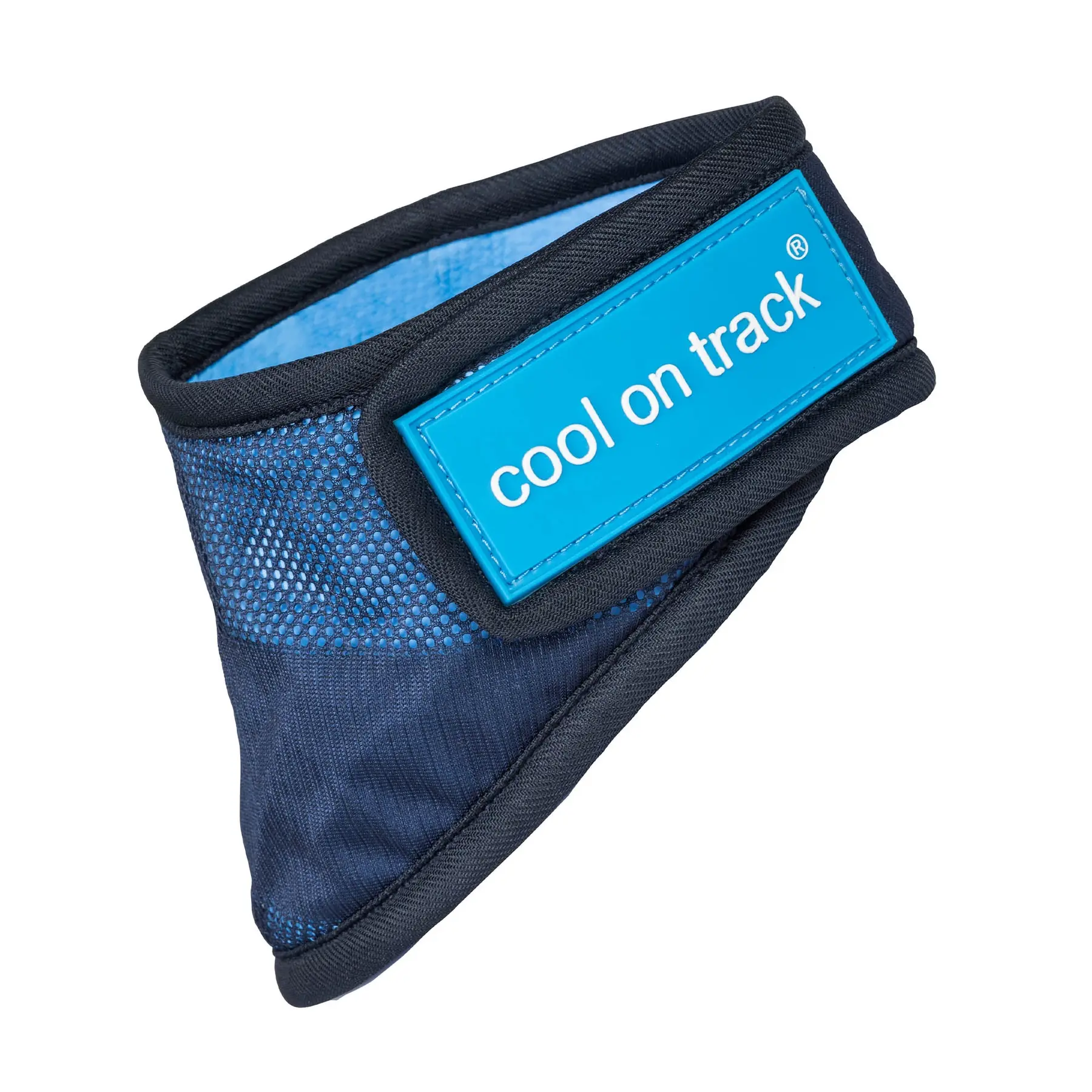 Back On Track Bleu Cooling Dog Bandana Cool