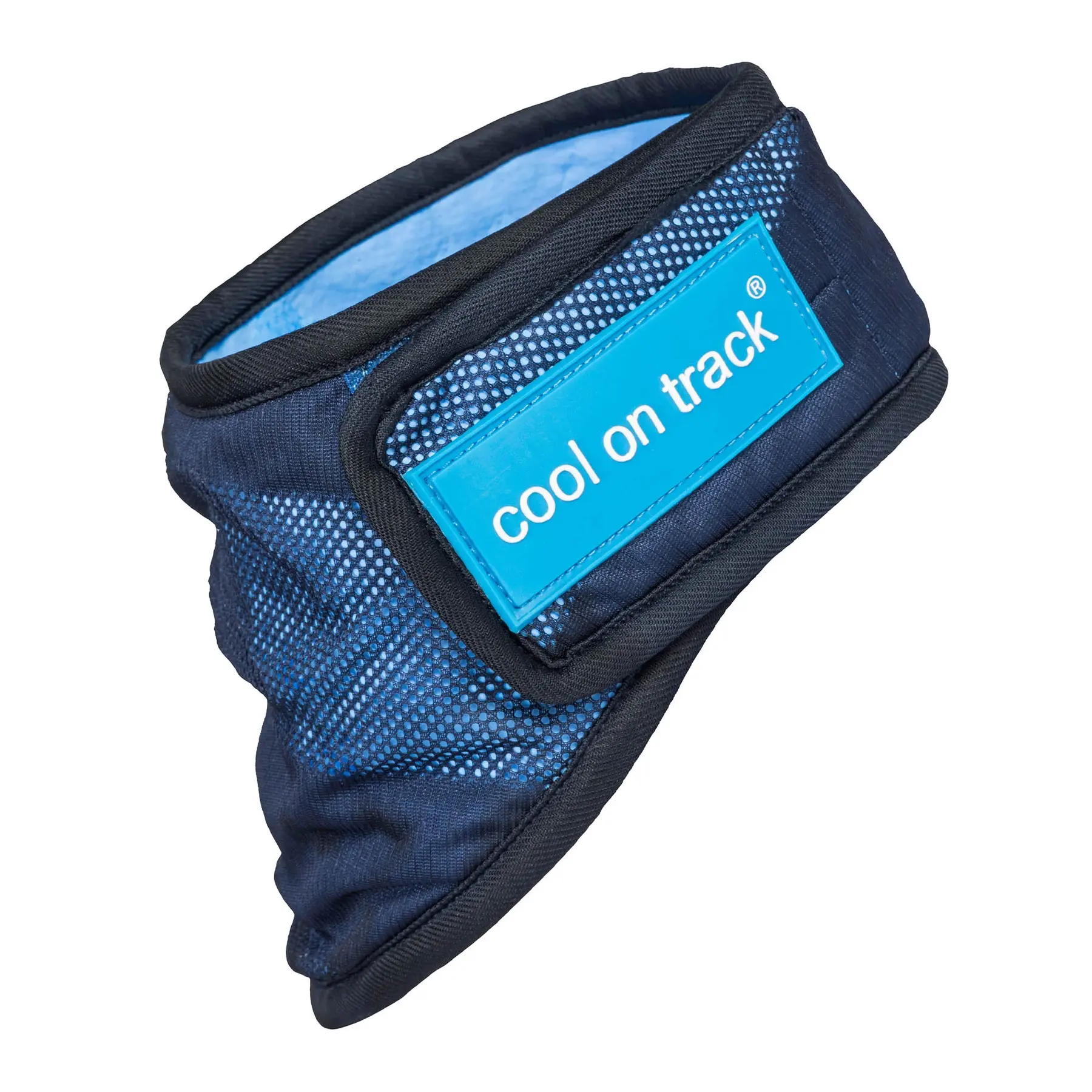 Back On Track Bleu Cooling Dog Bandana Cool