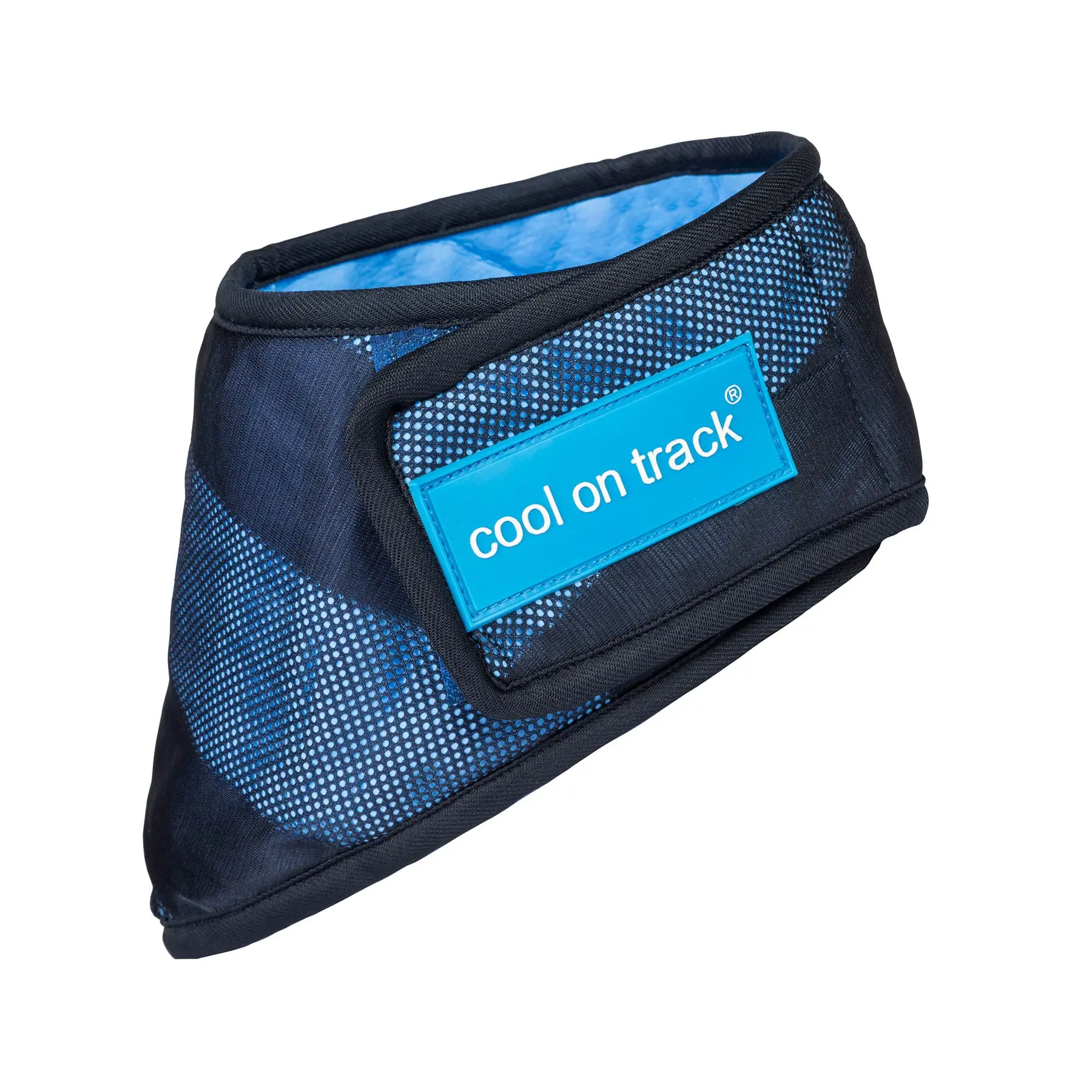 Back On Track Bleu Cooling Dog Bandana Cool