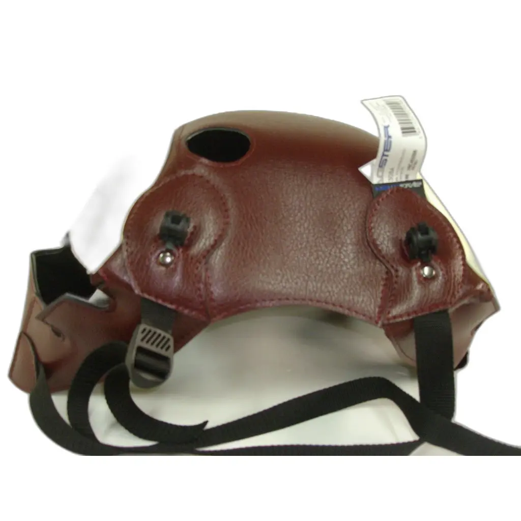 Tankschutz Motorrad Bagster thunderbird 900