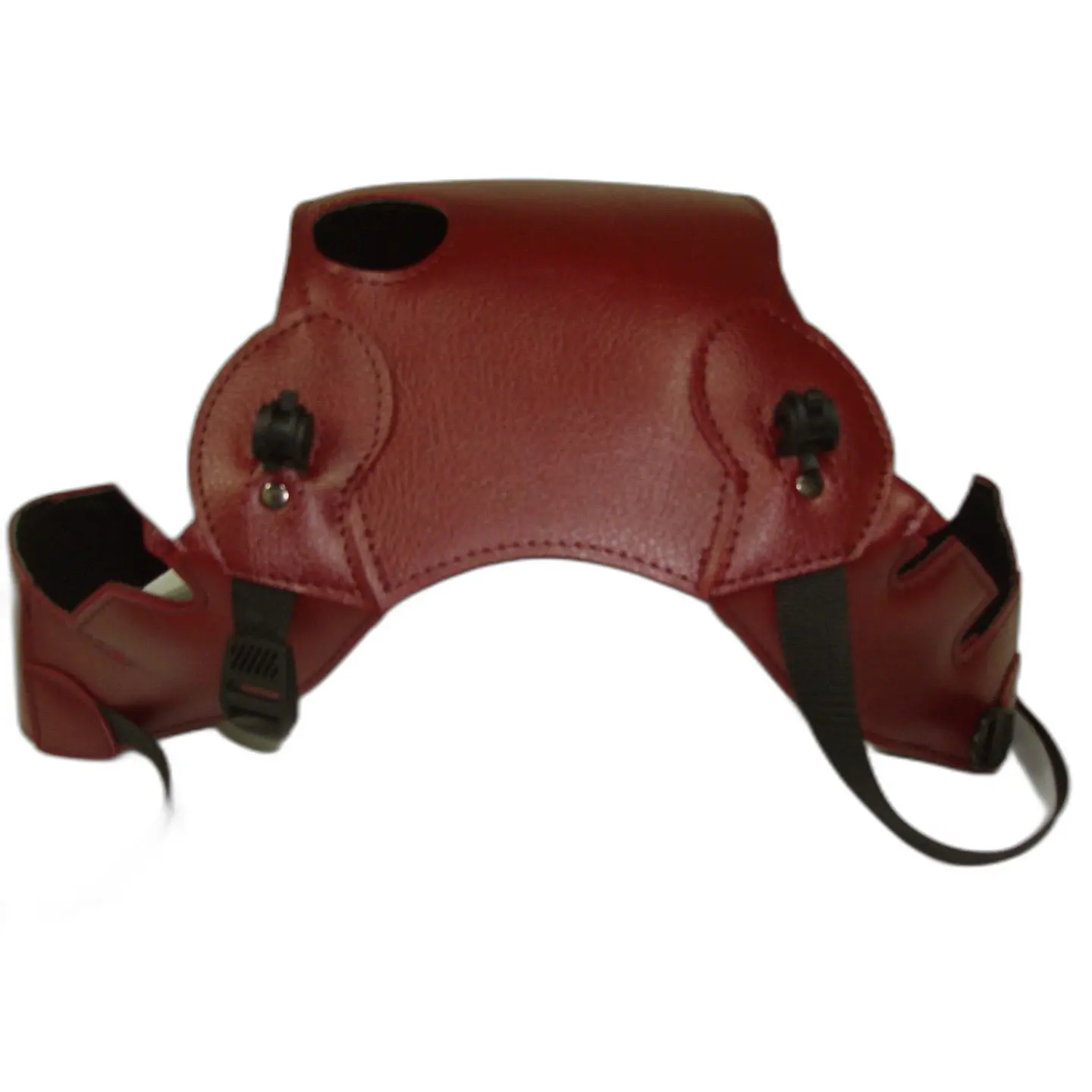 Tankschutz Motorrad Bagster thunderbird 900