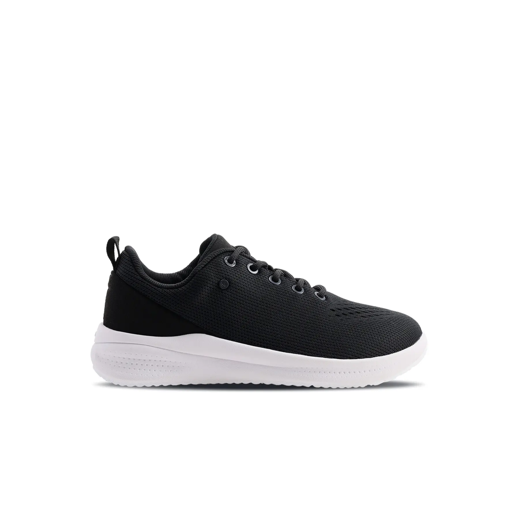 Baskets  Recovery Aerra