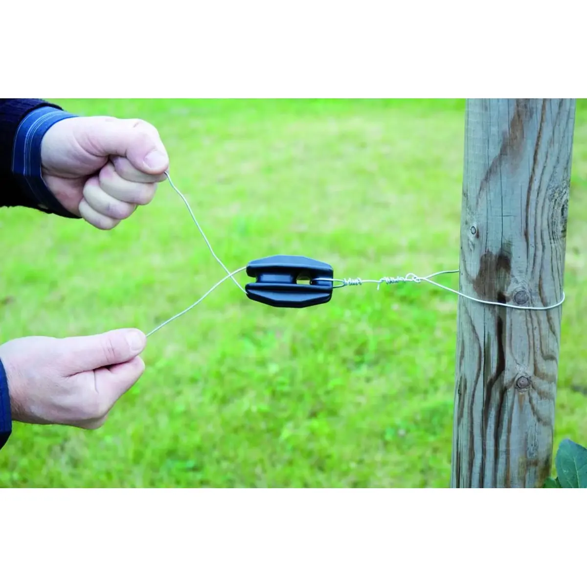 Meilleurs prix pour Isolateur oeuf Beaumont (x4)