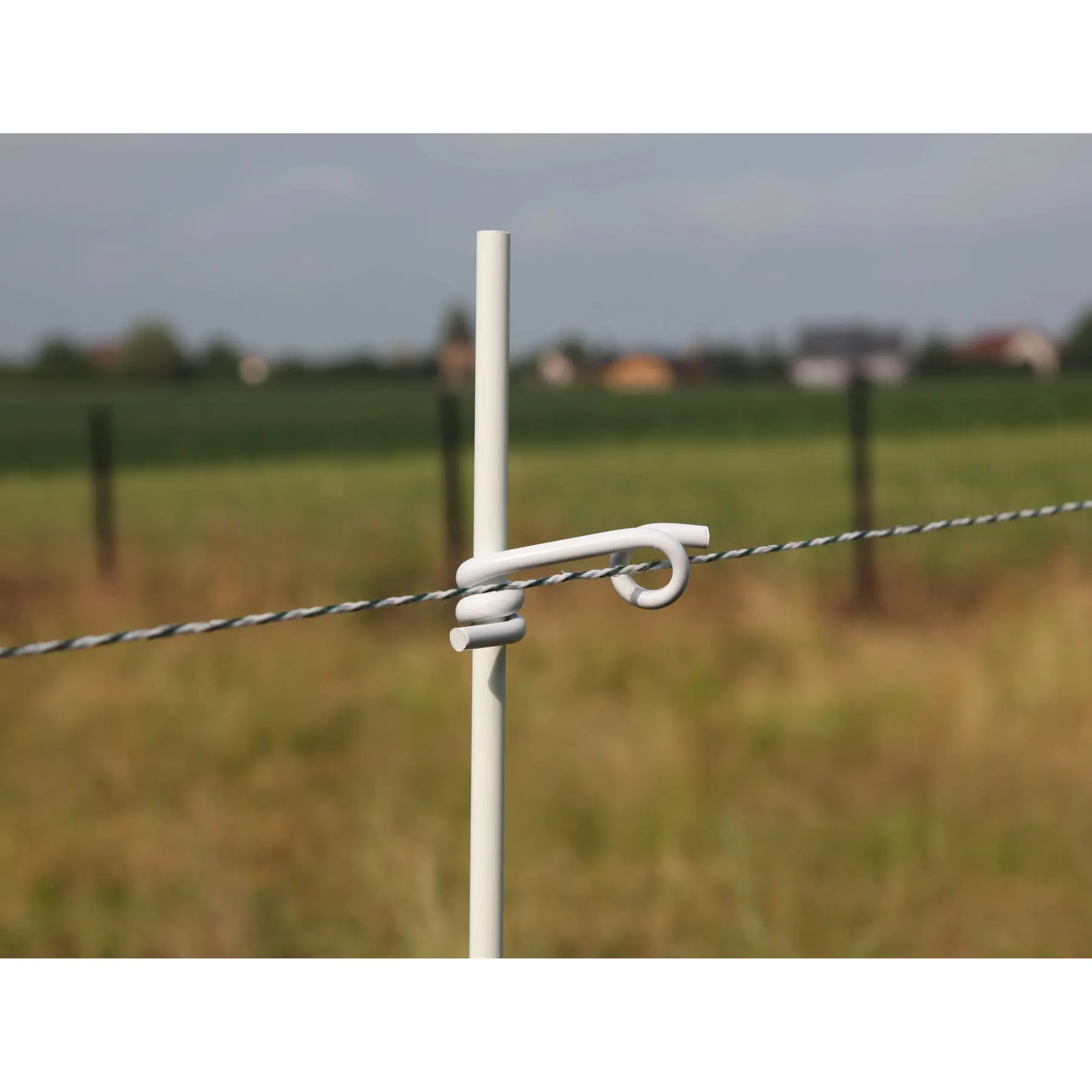 Comparer les prix de Isolateur queue de cochon Beaumont (x25)