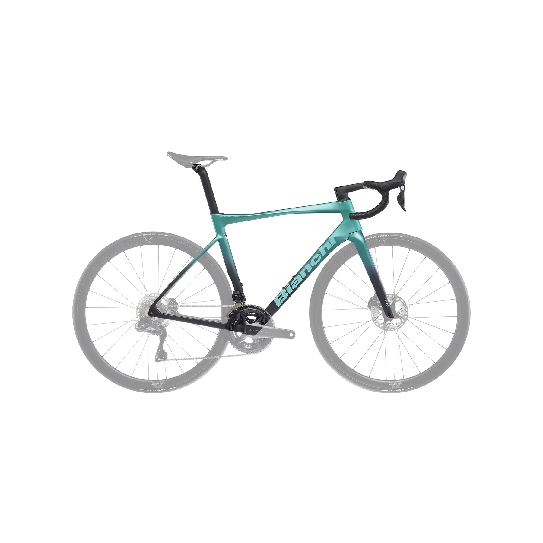 Rahmen Bianchi Specialissima Pro Disc