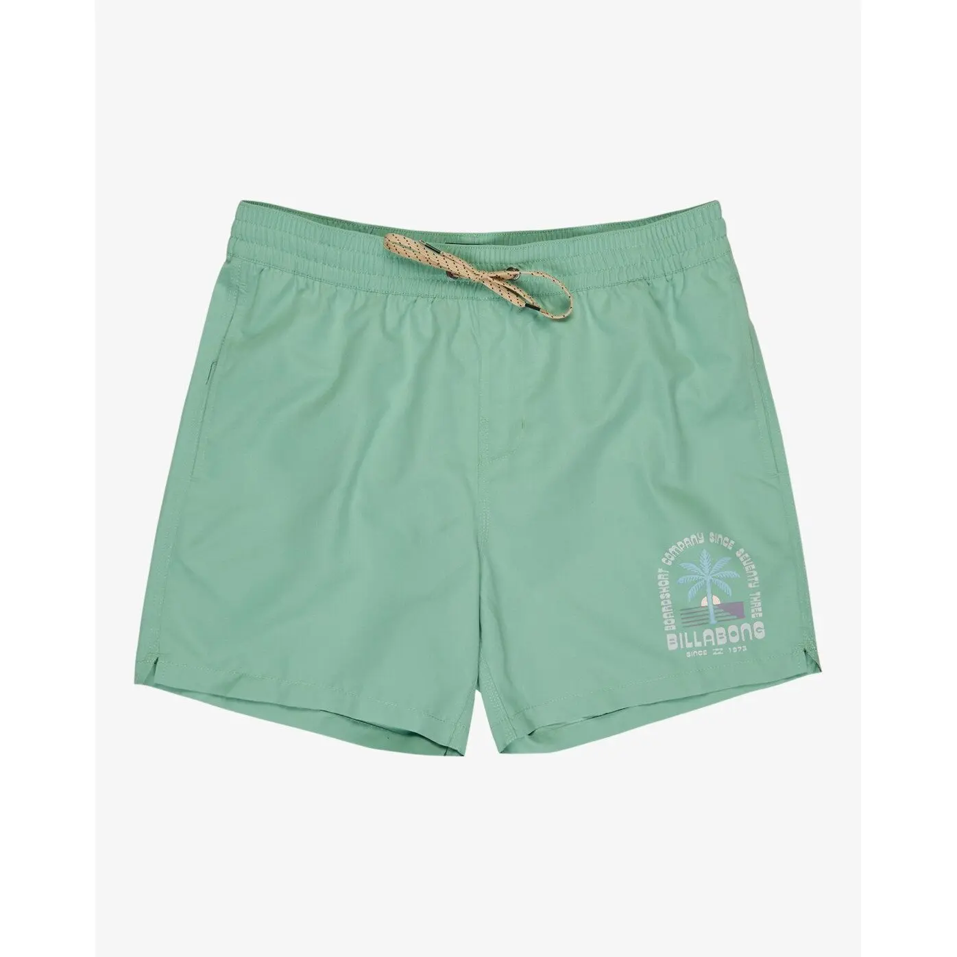 Surf shorts Billabong Foundation LB