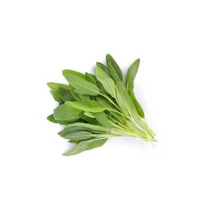 product/b/i/bioponis_bio30131g_vert_2.jpg