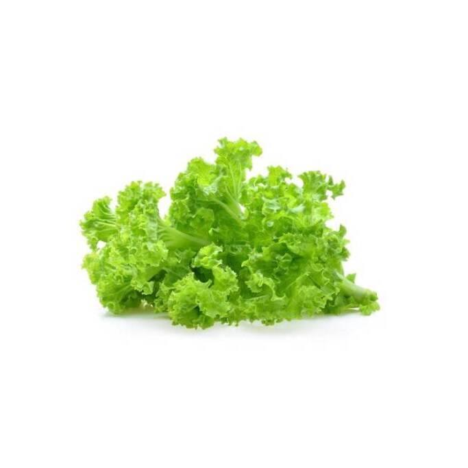 product/b/i/bioponis_bio30143g_vert_2.jpg
