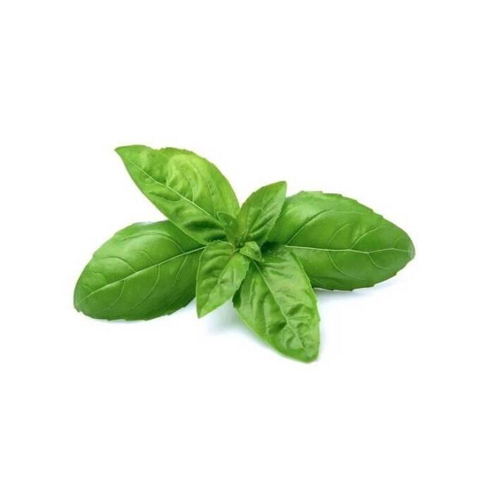 product/b/i/bioponis_bio30162g_vert_2.jpg