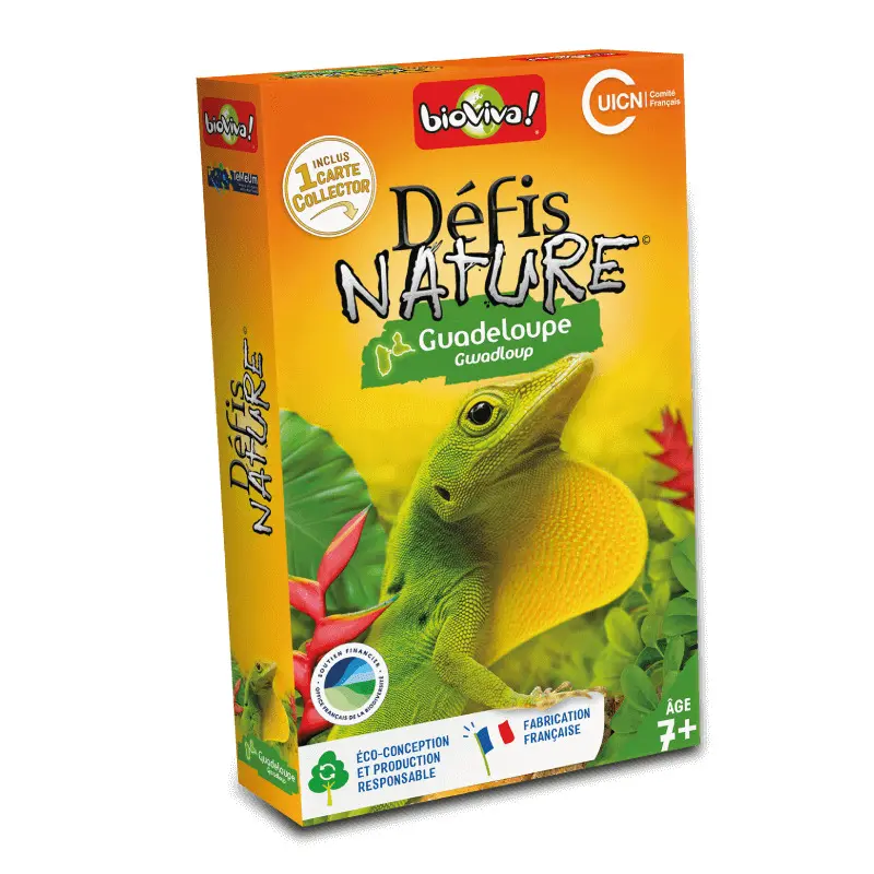 3569160400602 - Bildungsspiele für Kinder Guadeloupe