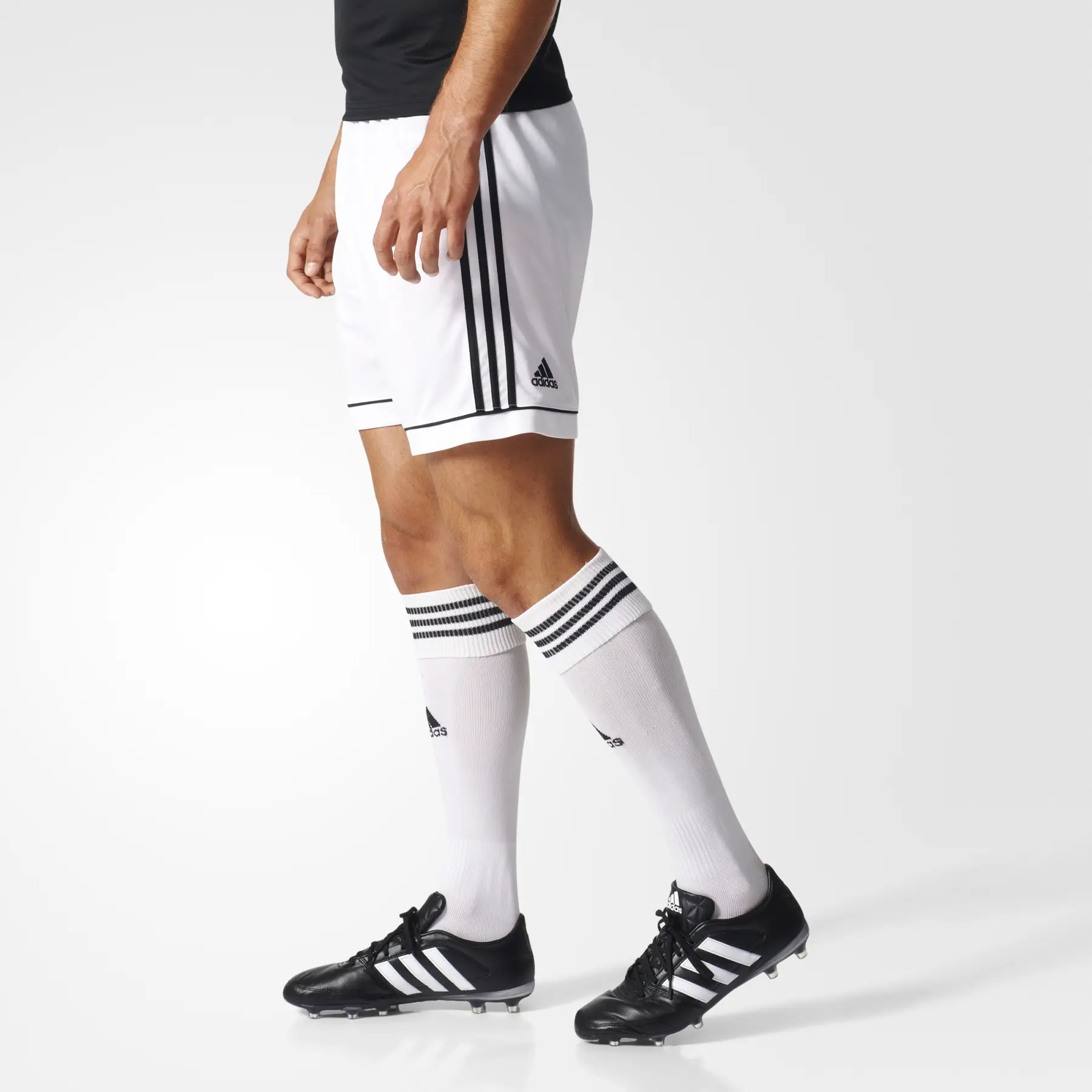 Shorts adidas Squadra 17