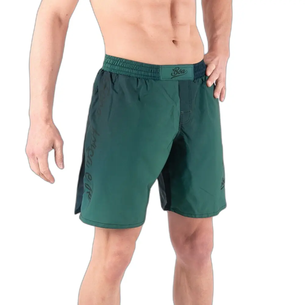 Kampfshorts Boa Fightwear Deslumbrante