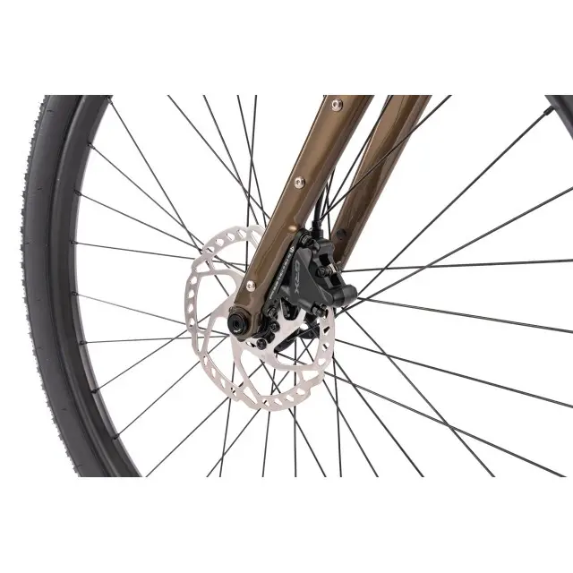 Rennrad Bombtrack Audax