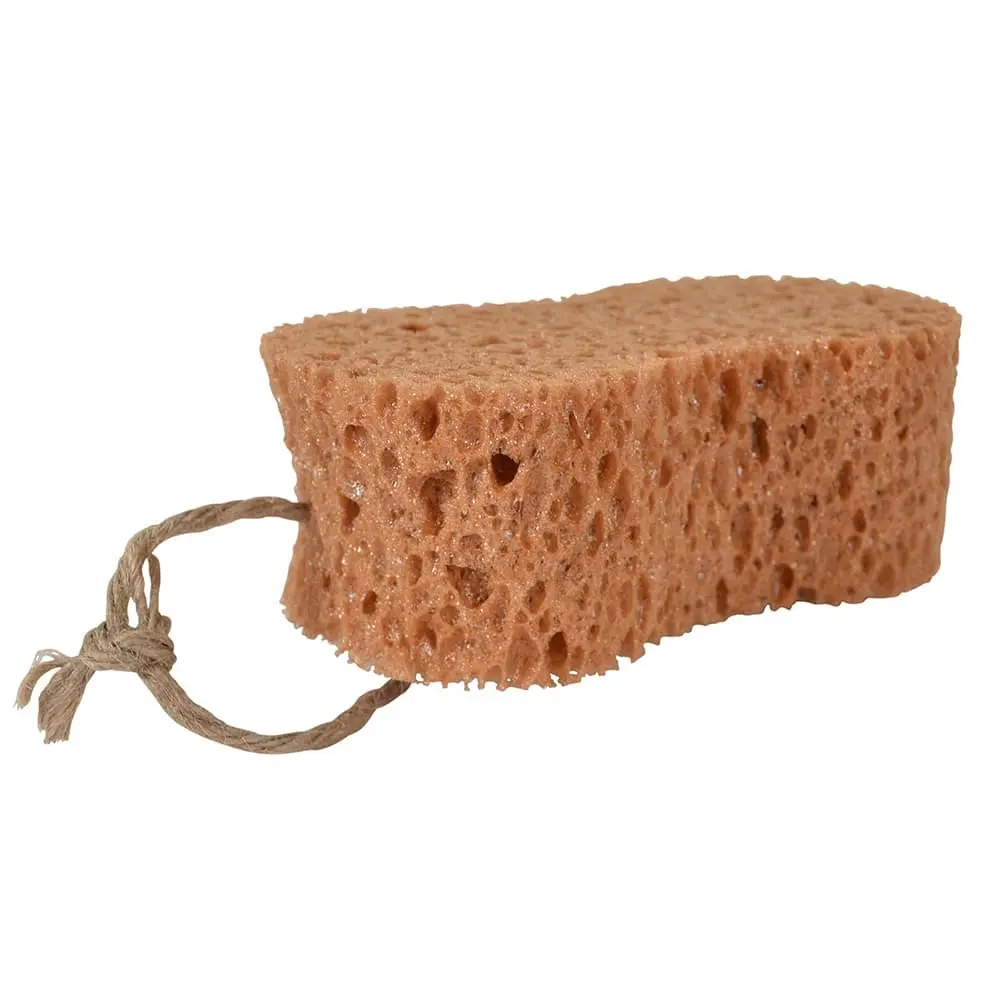 Comparer les prix de Éponge d'équitation de lavage luxe forme ergonomique Borstiq