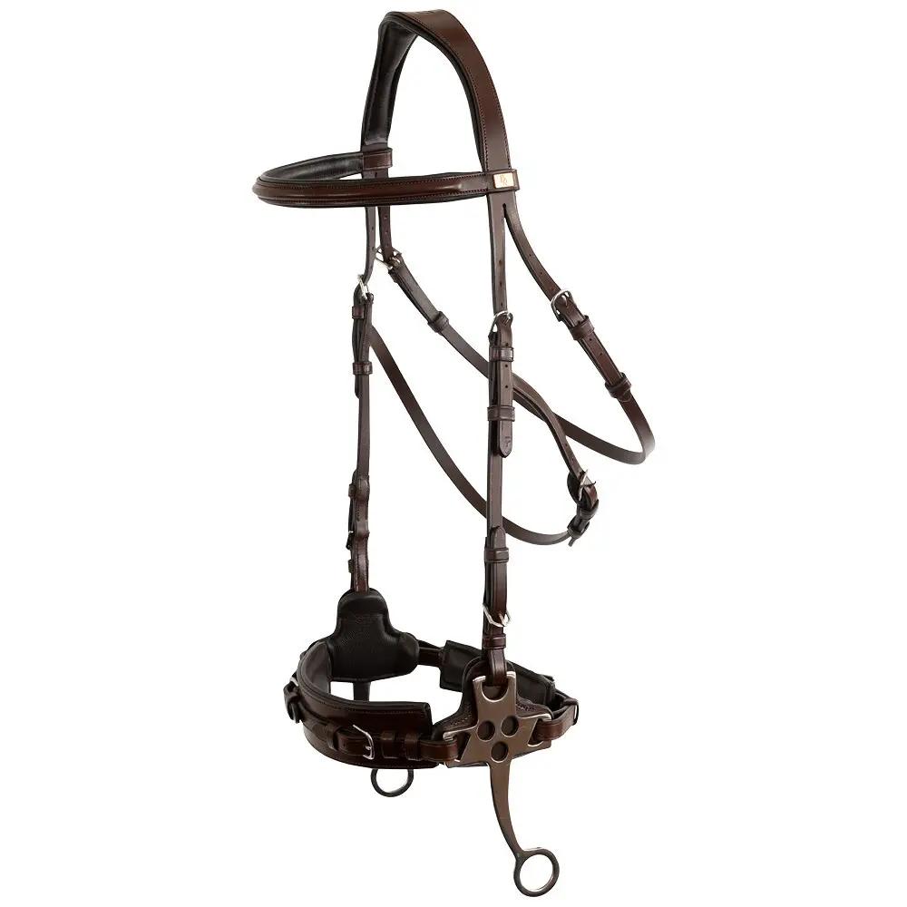Bridon sans mors pour cheval anatomique BR Equitation Thornbury
