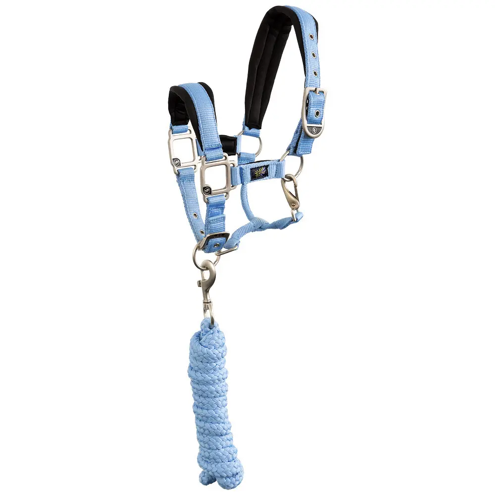 Ensemble licol et longe pour cheval BR Equitation Mini Horse