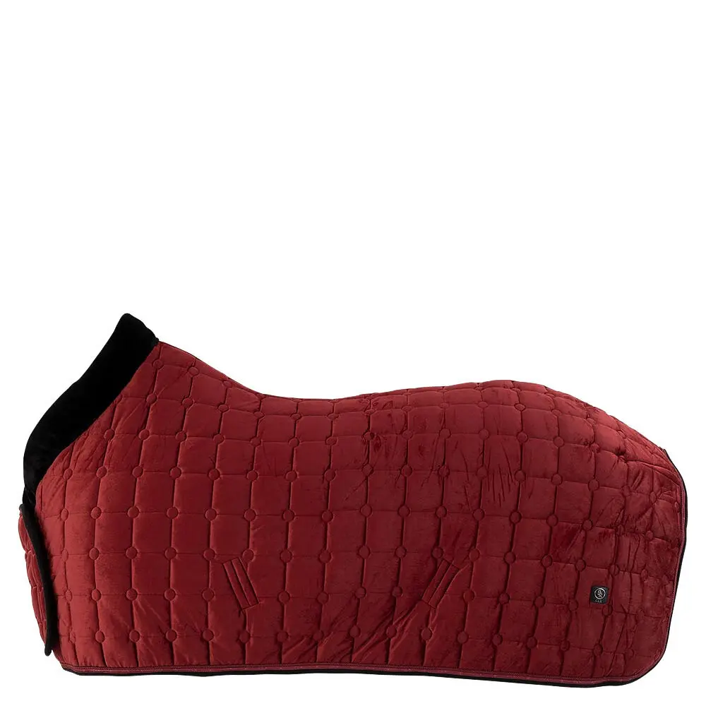 Polaire pour cheval BR Equitation CLX 0g