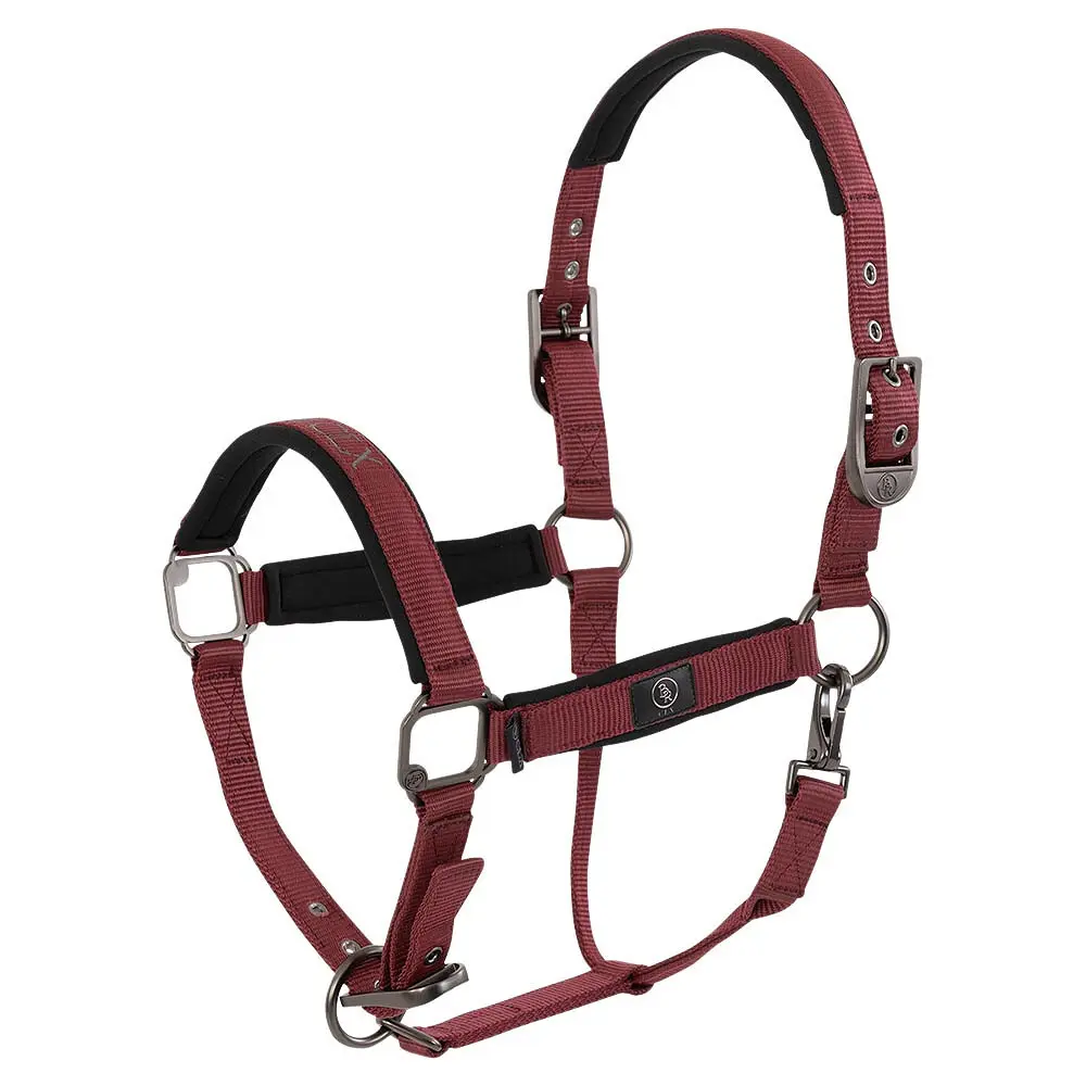 Meilleurs prix pour Licol pour cheval BR Equitation CLX