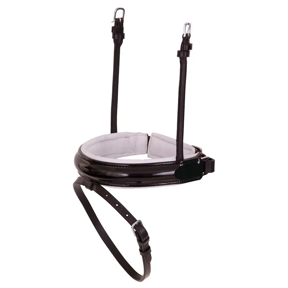 Muserolle combinée pour cheval en cuir verni large BR Equitation Pull-back Lacquer