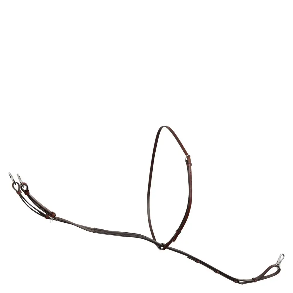 Br Equitation Marron Martingale For Horse Richmond