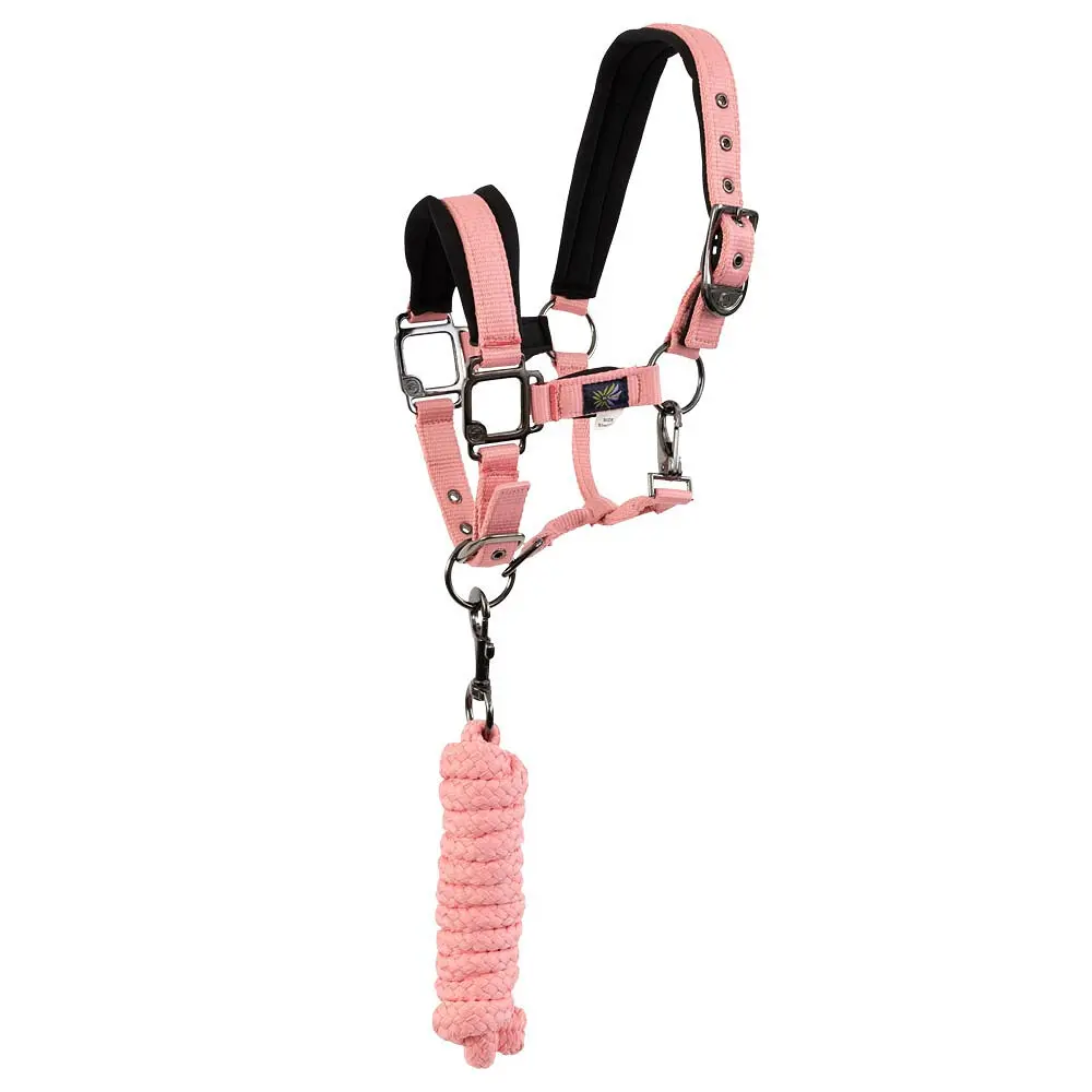 Mini testiera per cavallo con corda BR Equitation