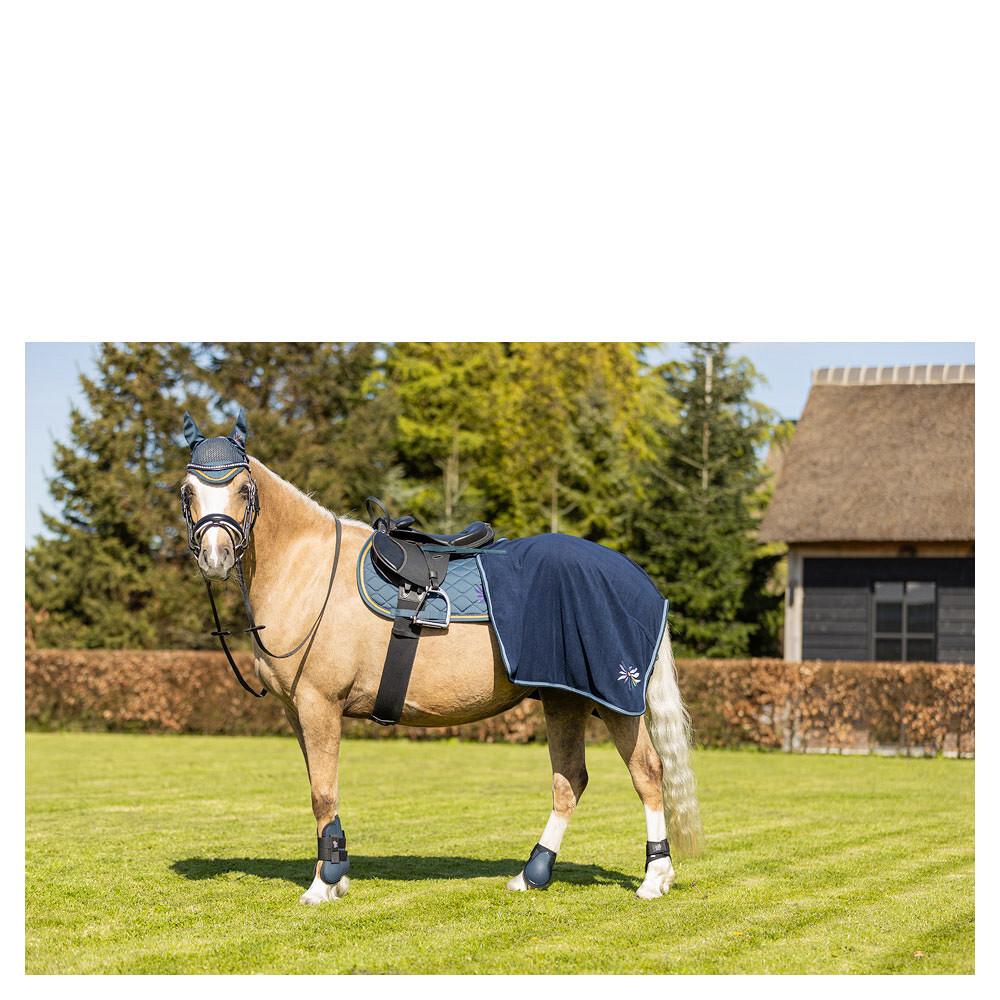 product/b/r/br-equitation_292309-l1028-40_midnight-navy_2.jpg