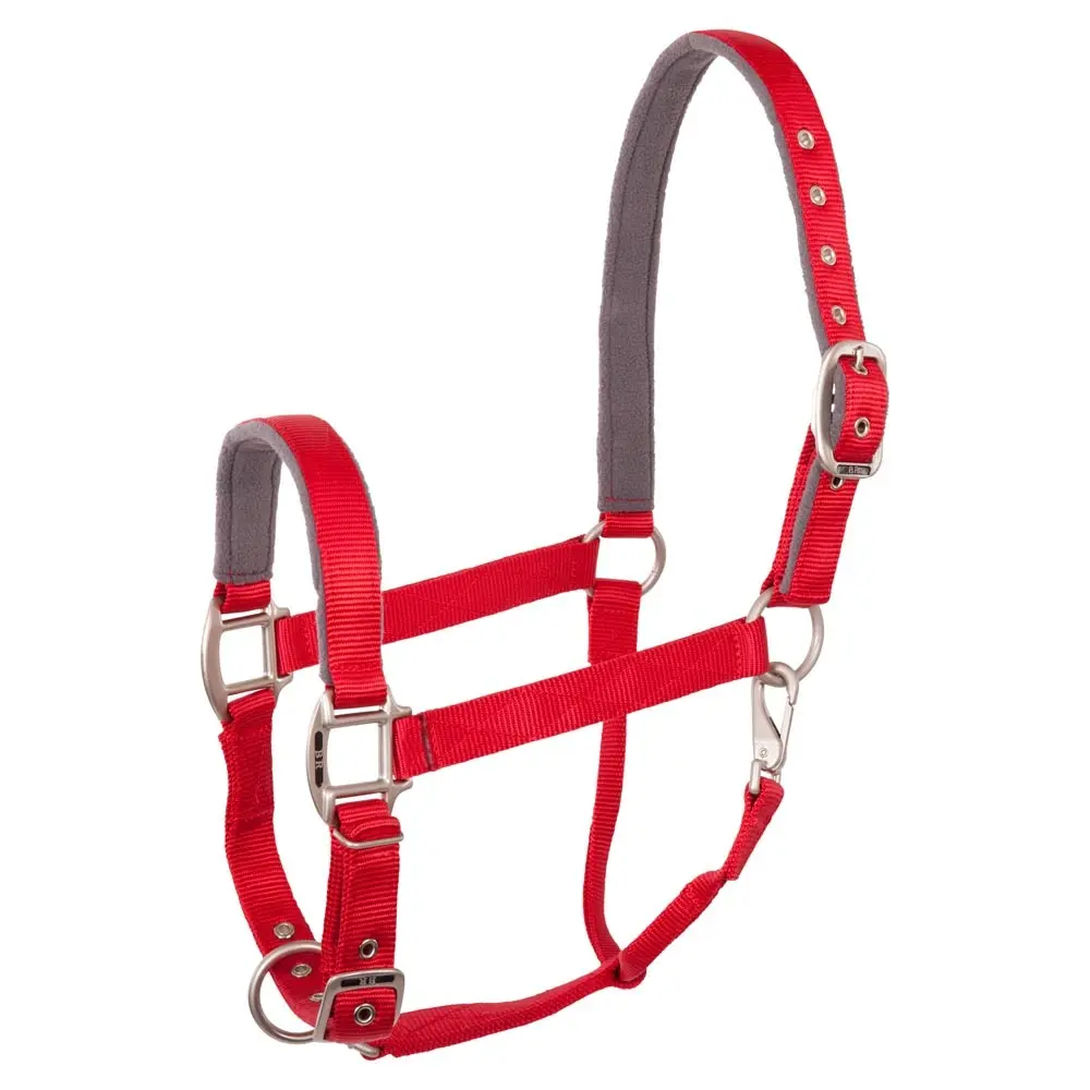 Br Equitation Rouge Halter For Horse Event