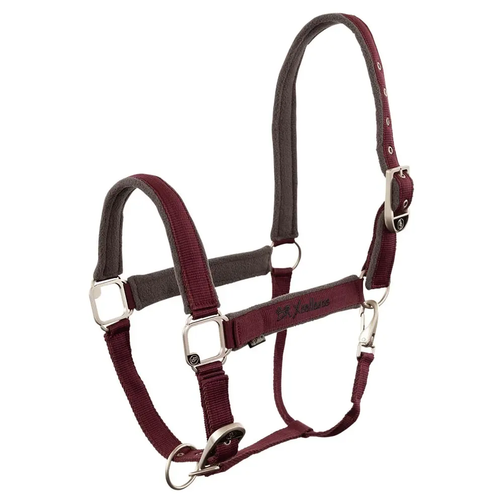 Comparer les prix de Licol pour cheval BR Equitation Xcellence