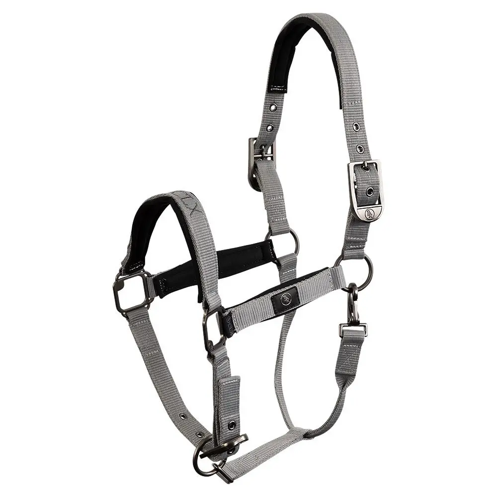 Br Equitation Gris Pony Halter Clx