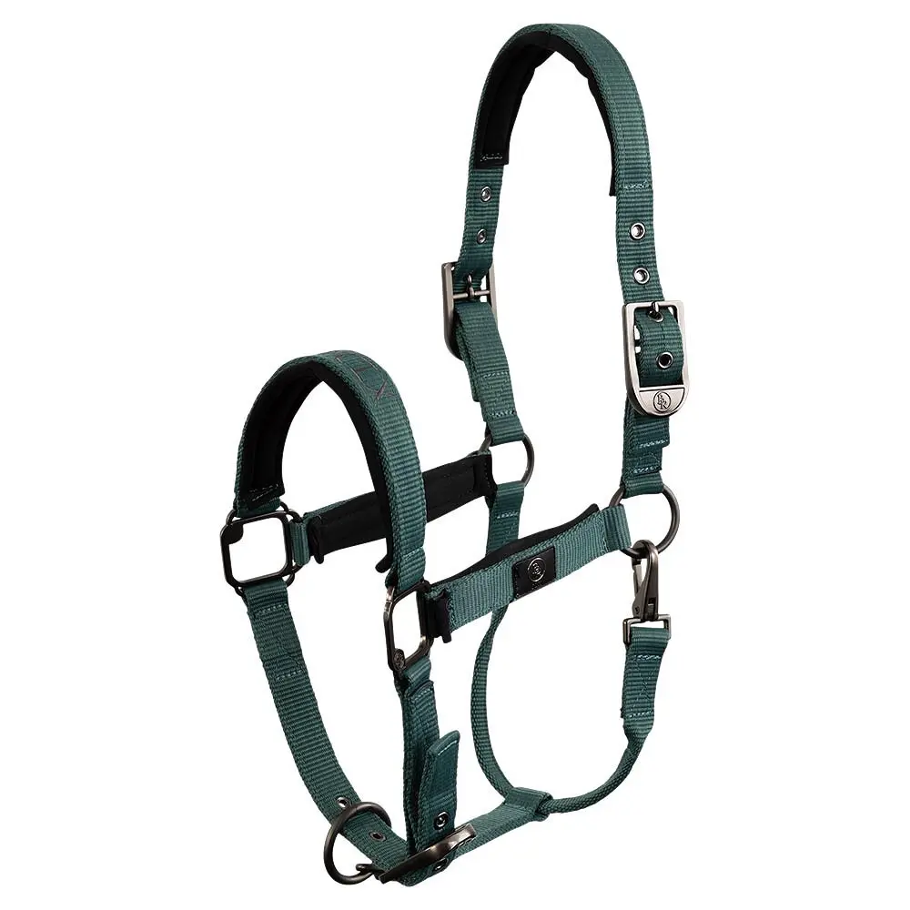 Br Equitation Vert Halter For Horse Clx