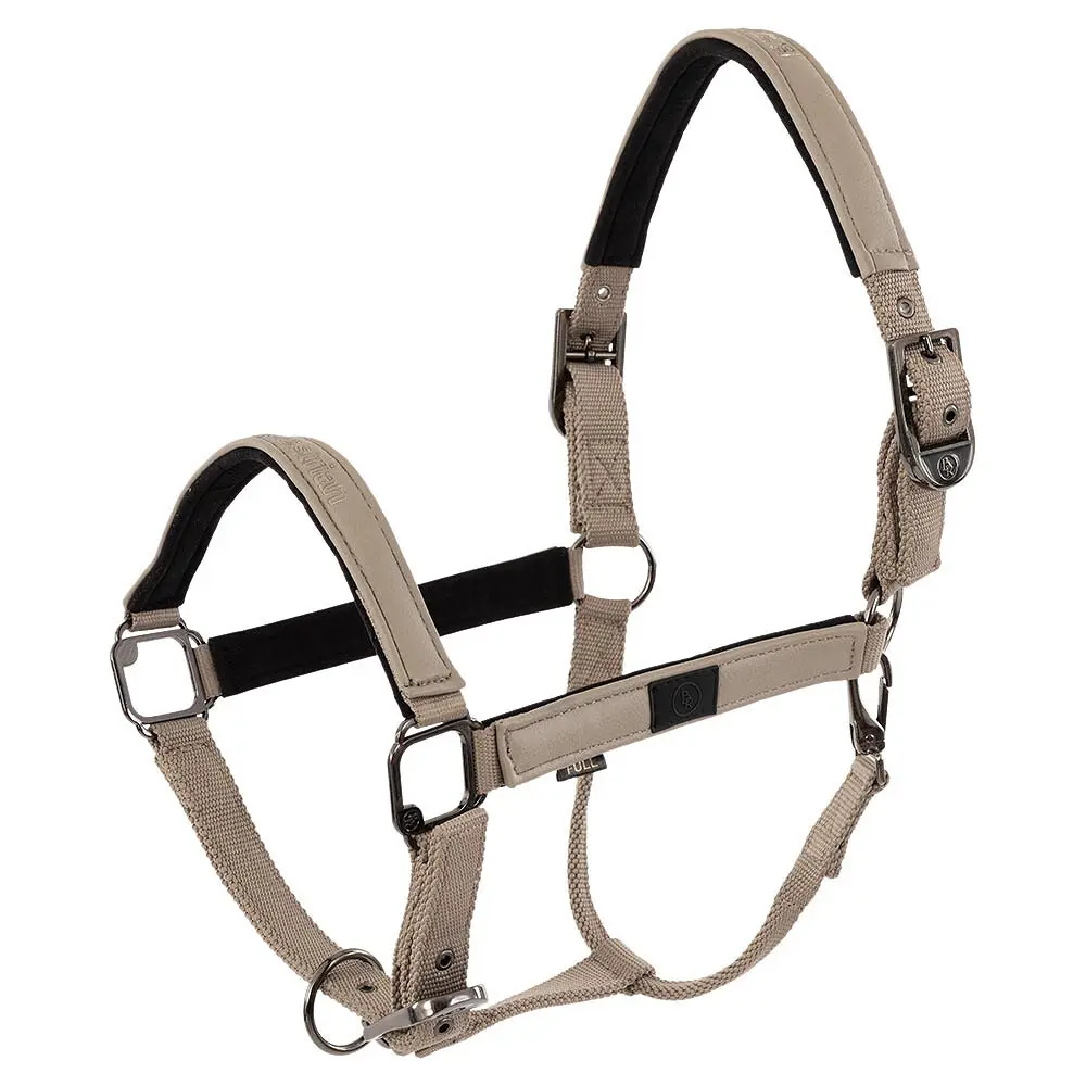 Meilleurs prix pour Licol pour cheval BR Equitation Jade