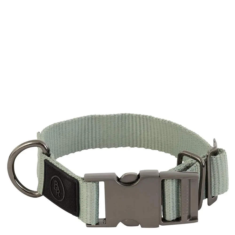 Meilleurs prix pour Collier pour chien BR Equitation