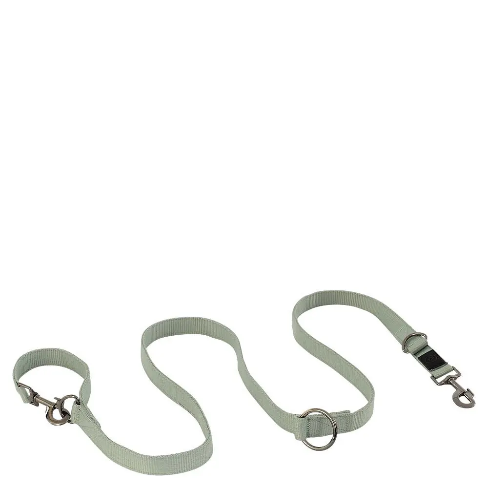 Br Equitation Gris Dog Leash